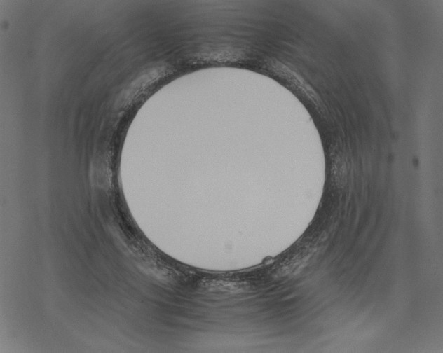 X0000078240635200612011605