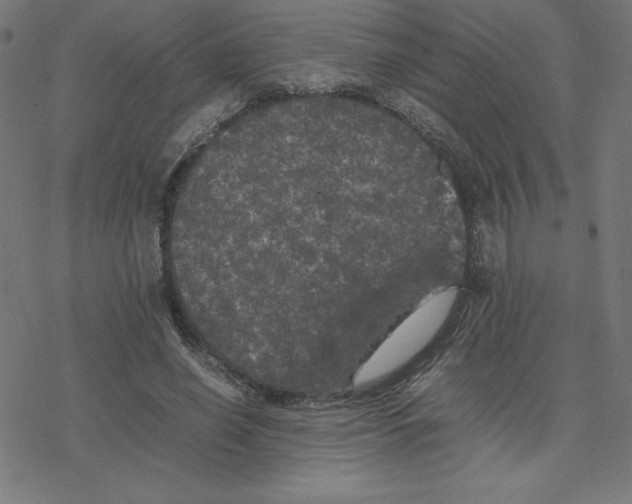 X0000078240638200612011605