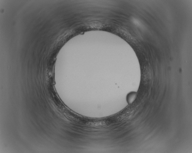 X0000078240639200612011605