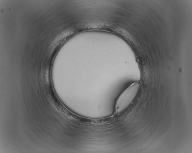 X0000078240640200612011605