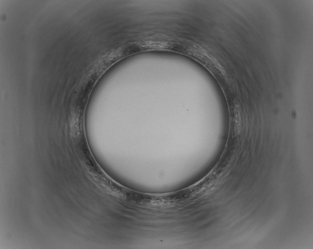 X0000078240641200612011605