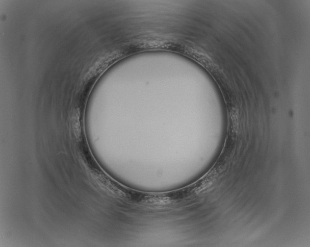 X0000078240642200612011605