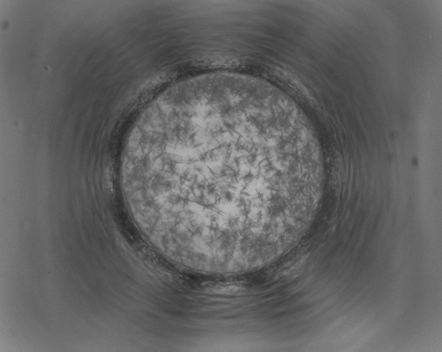 X0000078240643200612011605