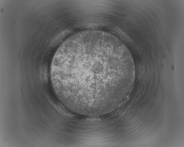 X0000078240644200612011605