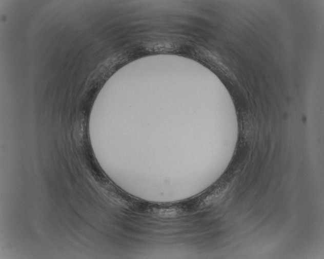 X0000078240645200612011605