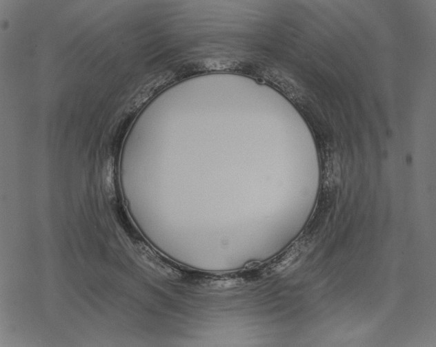 X0000078240646200612011606