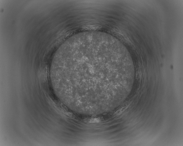 X0000078240647200612011606