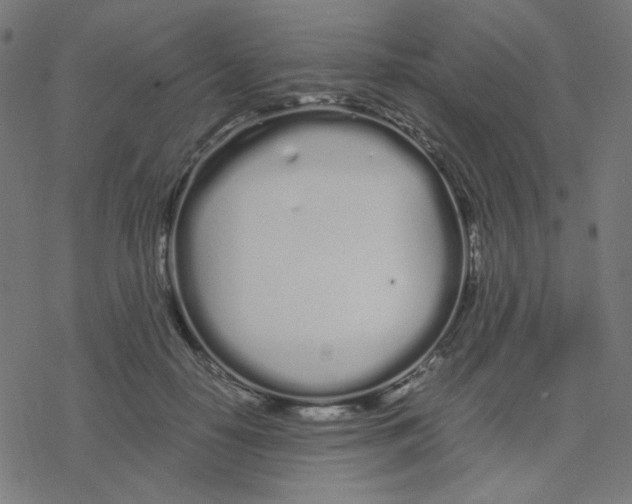 X0000078240650200612011606