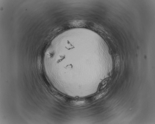 X0000078240651200612011606