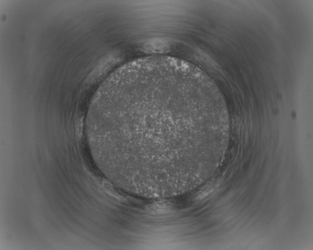 X0000078240652200612011606