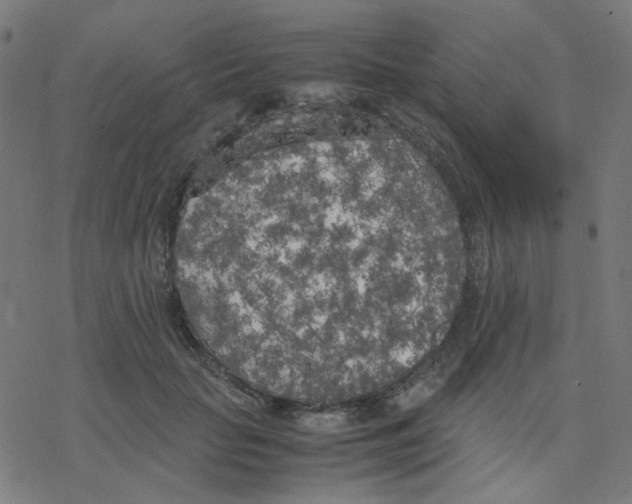 X0000078240653200612011606