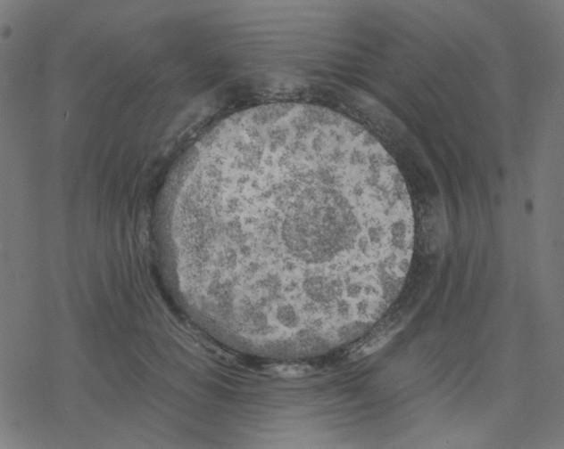 X0000078240654200612011606