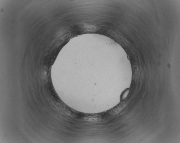 X0000078240655200612011606