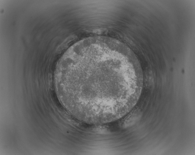 X0000078240656200612011606