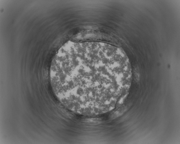 X0000078240657200612011606