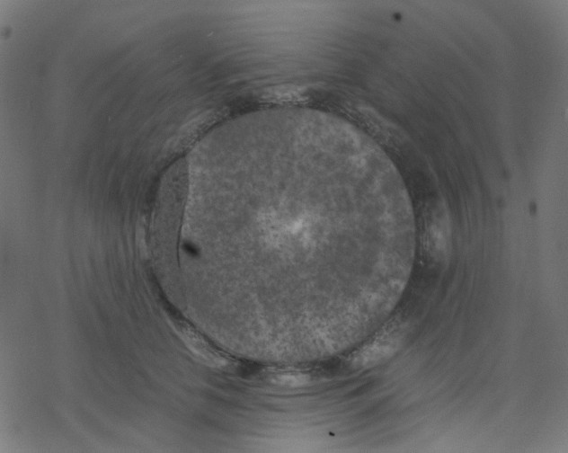 X0000078240658200612011606