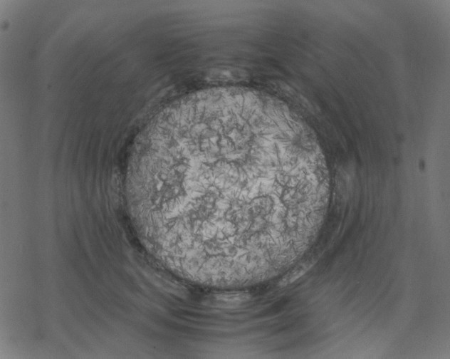 X0000078240659200612011606