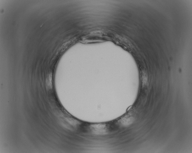 X0000078240660200612011606