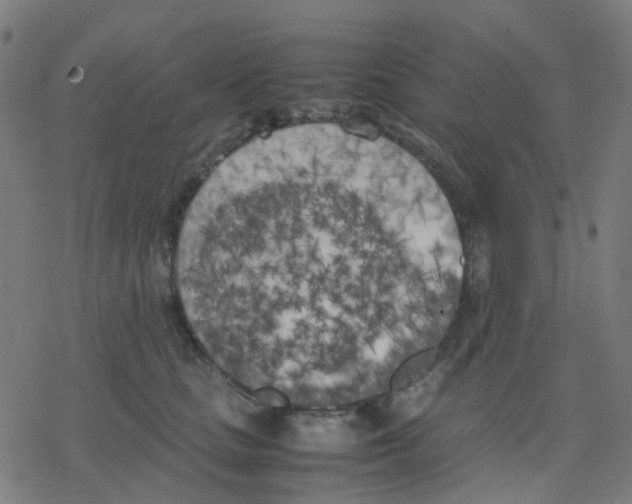 X0000078240661200612011606