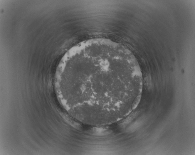 X0000078240662200612011606