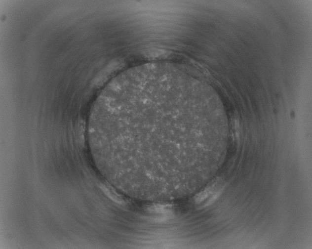 X0000078240664200612011606