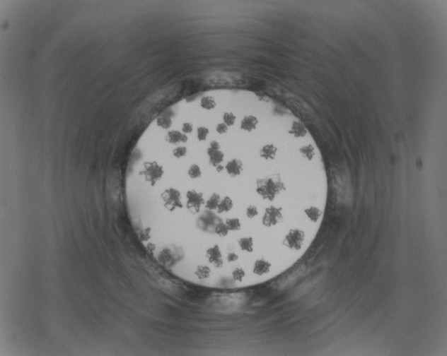 X0000078240665200612011606