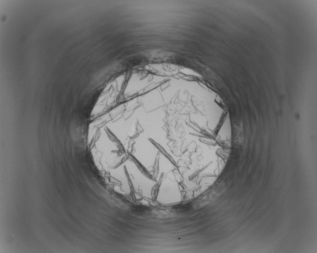 X0000078240666200612011606