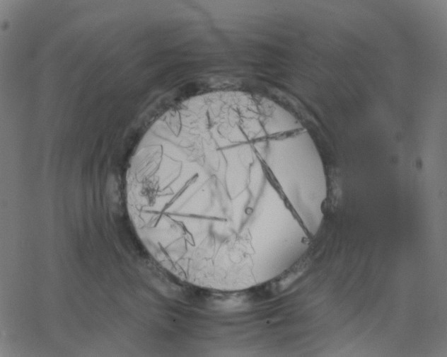 X0000078240667200612011606