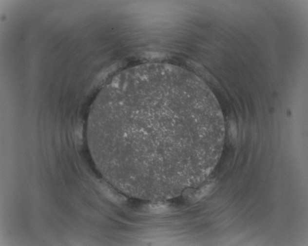 X0000078240668200612011606