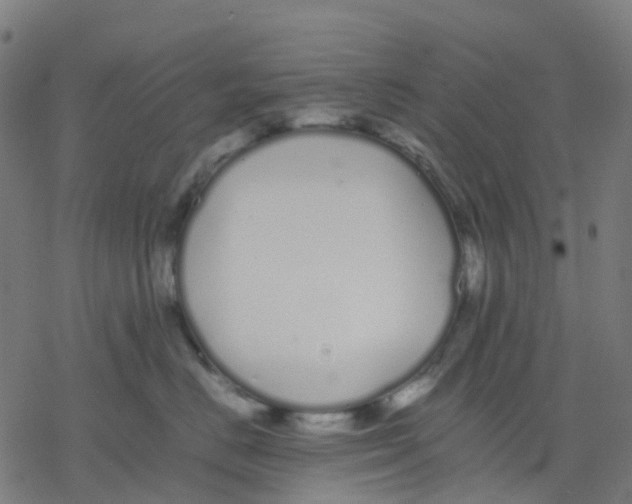 X0000078240670200612011606