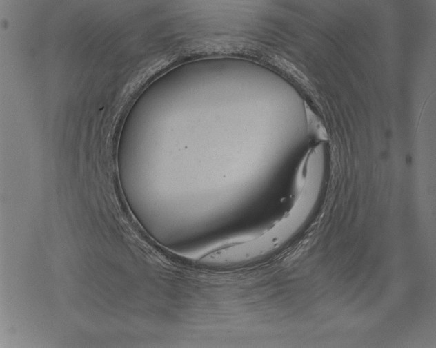 X0000078240673200612011605