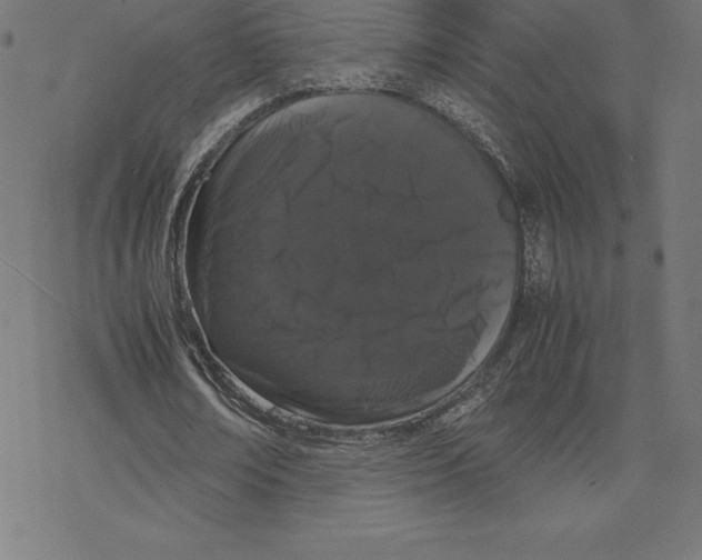 X0000078240674200612011605