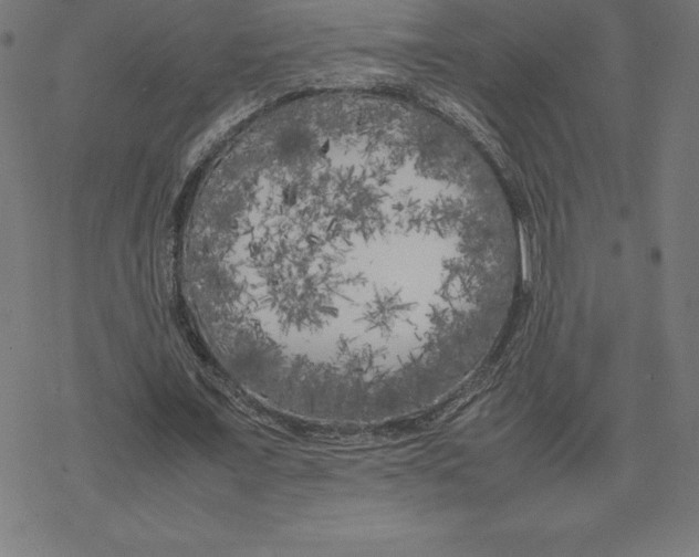 X0000078240675200612011605