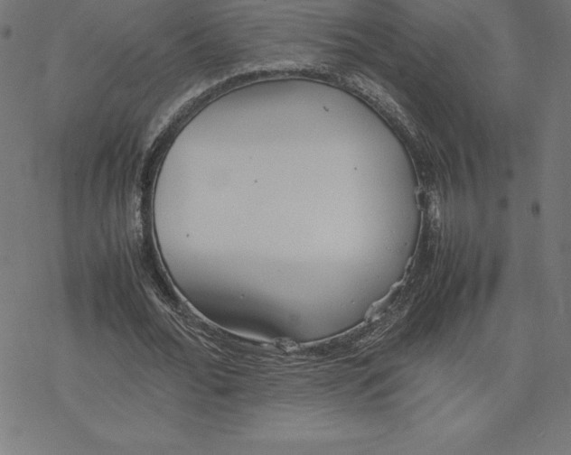 X0000078240676200612011605