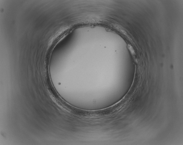 X0000078240677200612011605