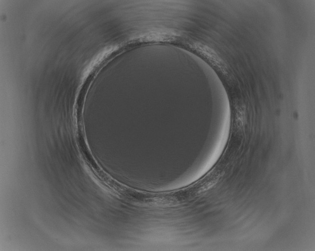 X0000078240678200612011605