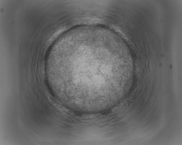 X0000078240679200612011605