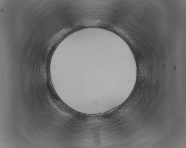 X0000078240682200612011605