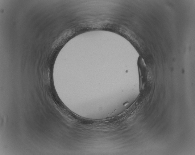 X0000078240685200612011605