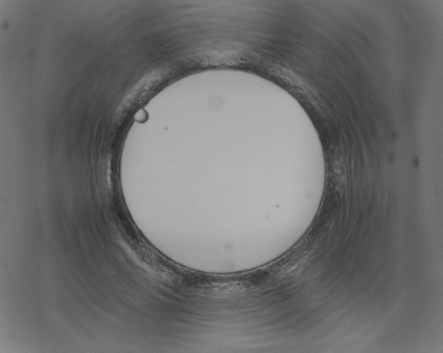 X0000078240686200612011605