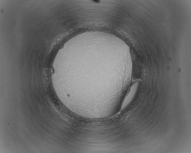 X0000078240688200612011605