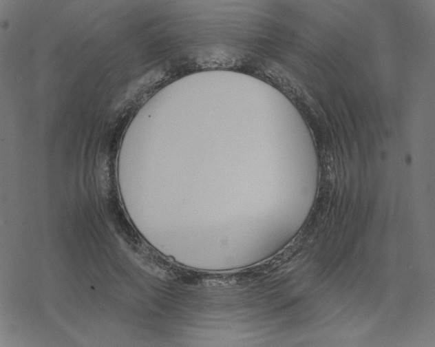 X0000078240690200612011605