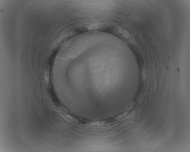 X0000078240691200612011605