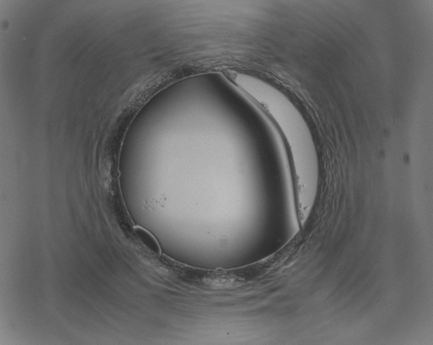 X0000078240693200612011605