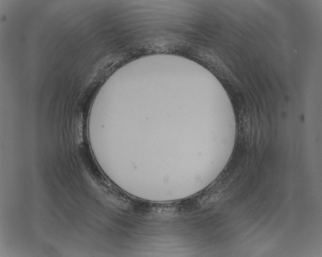 X0000078240694200612011605