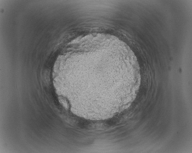 X0000078240695200612011605