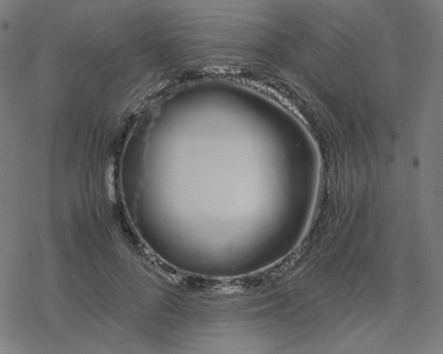 X0000078240696200612011605