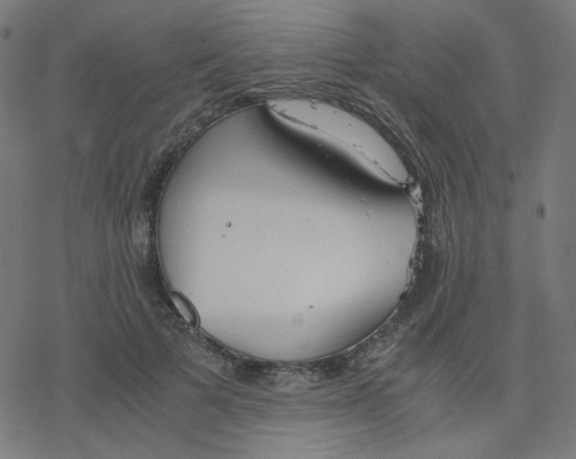 X0000078240697200612011605