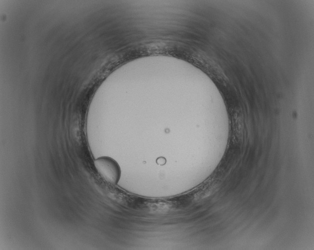 X0000078240698200612011605