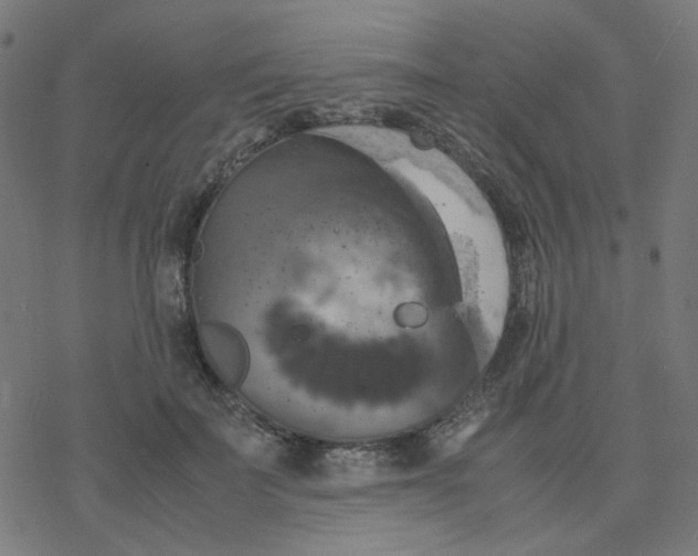 X0000078240699200612011605